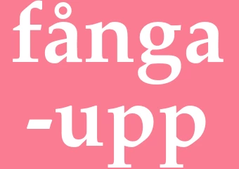 Synonym fånga upp