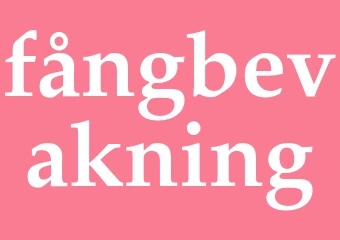 Synonym fångbevakning