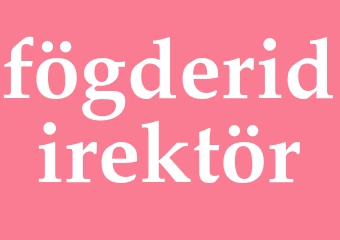 Synonym fögderidirektör