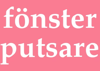 Synonym fönsterputsare