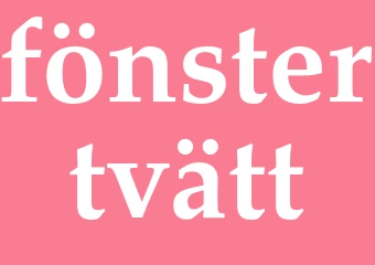 Synonym fönstertvätt