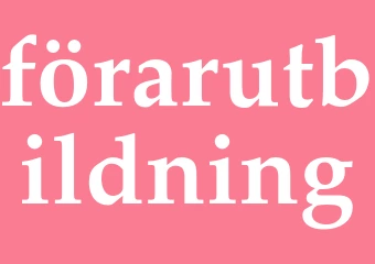 Synonym förarutbildning