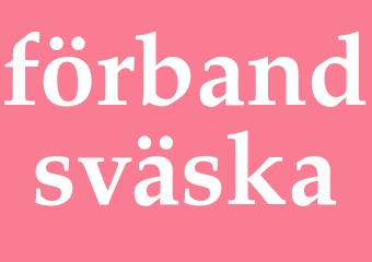 Synonym förbandsväska