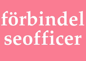 Synonym förbindelseofficer