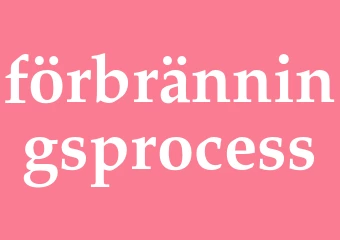 Synonym förbränningsprocess