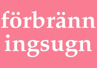 Synonym förbränningsugn