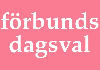 Synonym förbundsdagsval