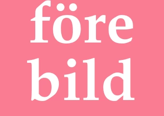 Synonym förebild