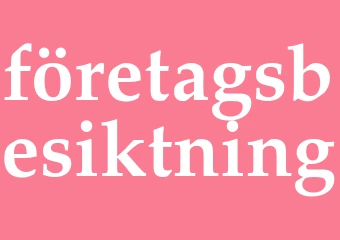 Synonym företagsbesiktning