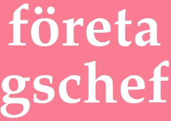 Synonym företagschef