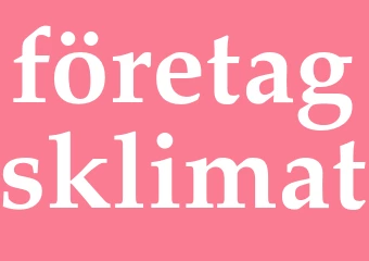Synonym företagsklimat