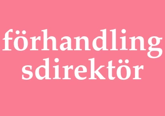 Synonym förhandlingsdirektör