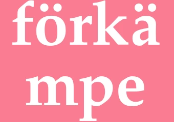 Synonym förkämpe