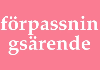 Synonym förpassningsärende