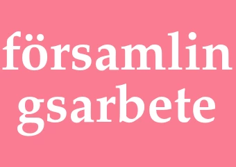 Synonym församlingsarbete