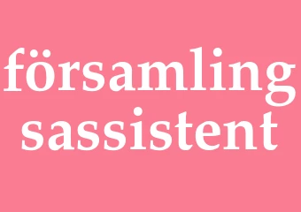 Synonym församlingsassistent