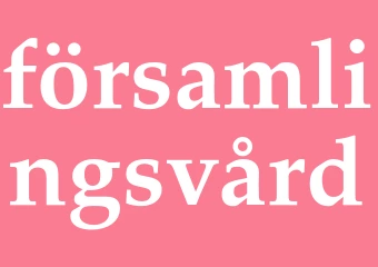 Synonym församlingsvård