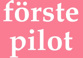 Synonym förstepilot
