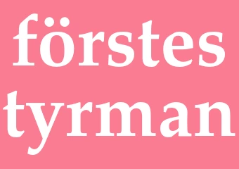 Synonym förstestyrman