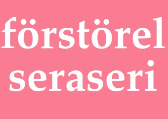Synonym förstörelseraseri