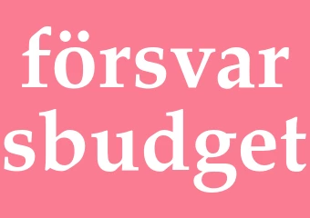Synonym försvarsbudget