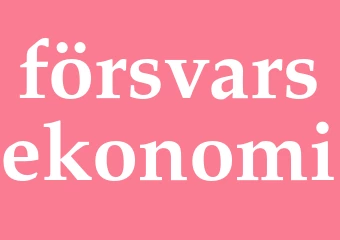 Synonym försvarsekonomi