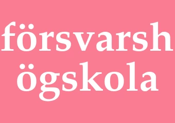Synonym försvarshögskola
