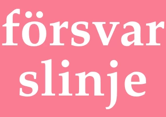 Synonym försvarslinje