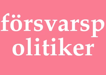 Synonym försvarspolitiker