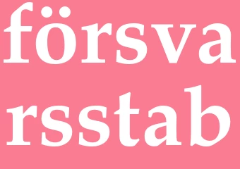 Synonym försvarsstab