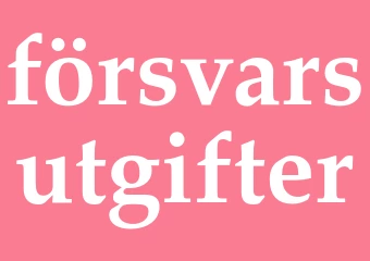 Synonym försvarsutgifter