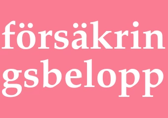 Synonym försäkringsbelopp