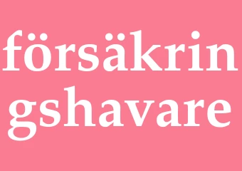 Synonym försäkringshavare