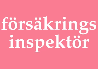 Synonym försäkringsinspektör