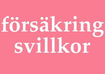 Synonym försäkringsvillkor