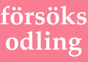Synonym försöksodling