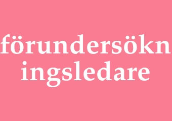 Synonym förundersökningsledare
