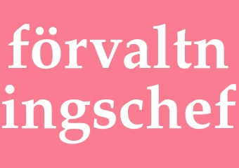 Synonym förvaltningschef