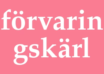 Synonym förvaringskärl