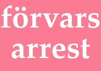 Synonym förvarsarrest