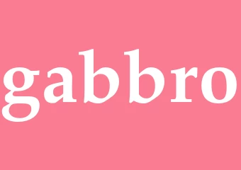 Synonym gabbro