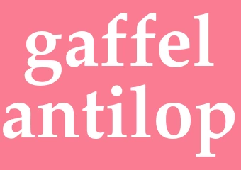 Synonym gaffelantilop
