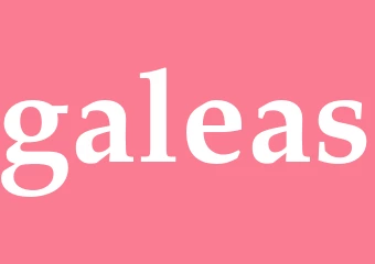 Synonym galeas
