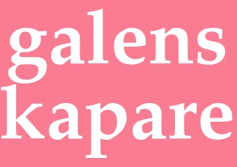 Synonym galenskapare