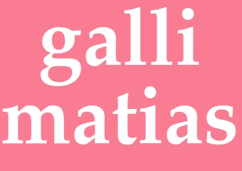 Synonym gallimatias