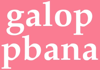 Synonym galoppbana