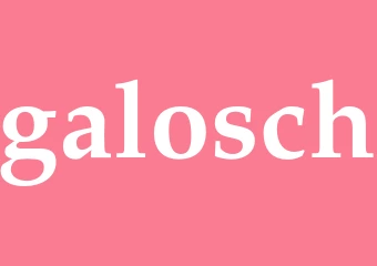 Synonym galosch