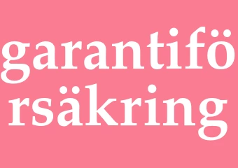 Synonym garantiförsäkring