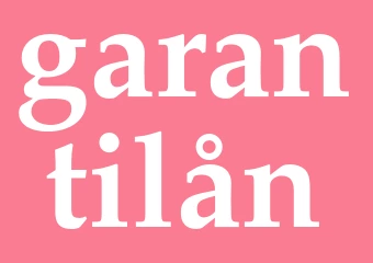 Synonym garantilån