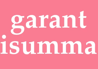 Synonym garantisumma